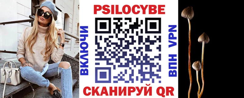 Галлюциногенные грибы Psilocybine cubensis цены наркотик Циолковский